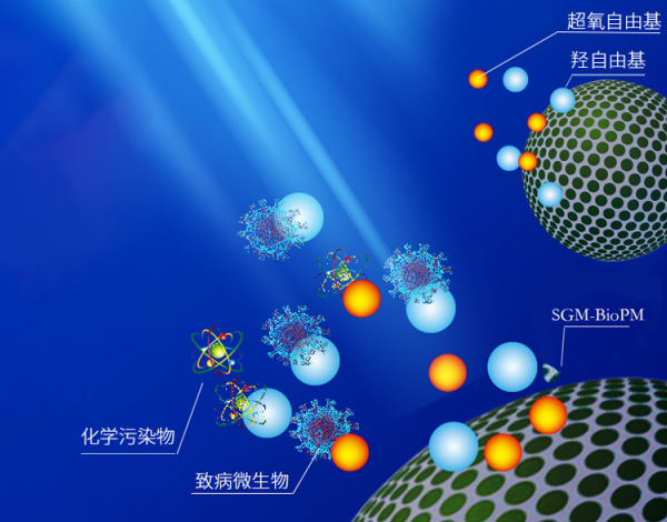 1645779100884557.png image.png